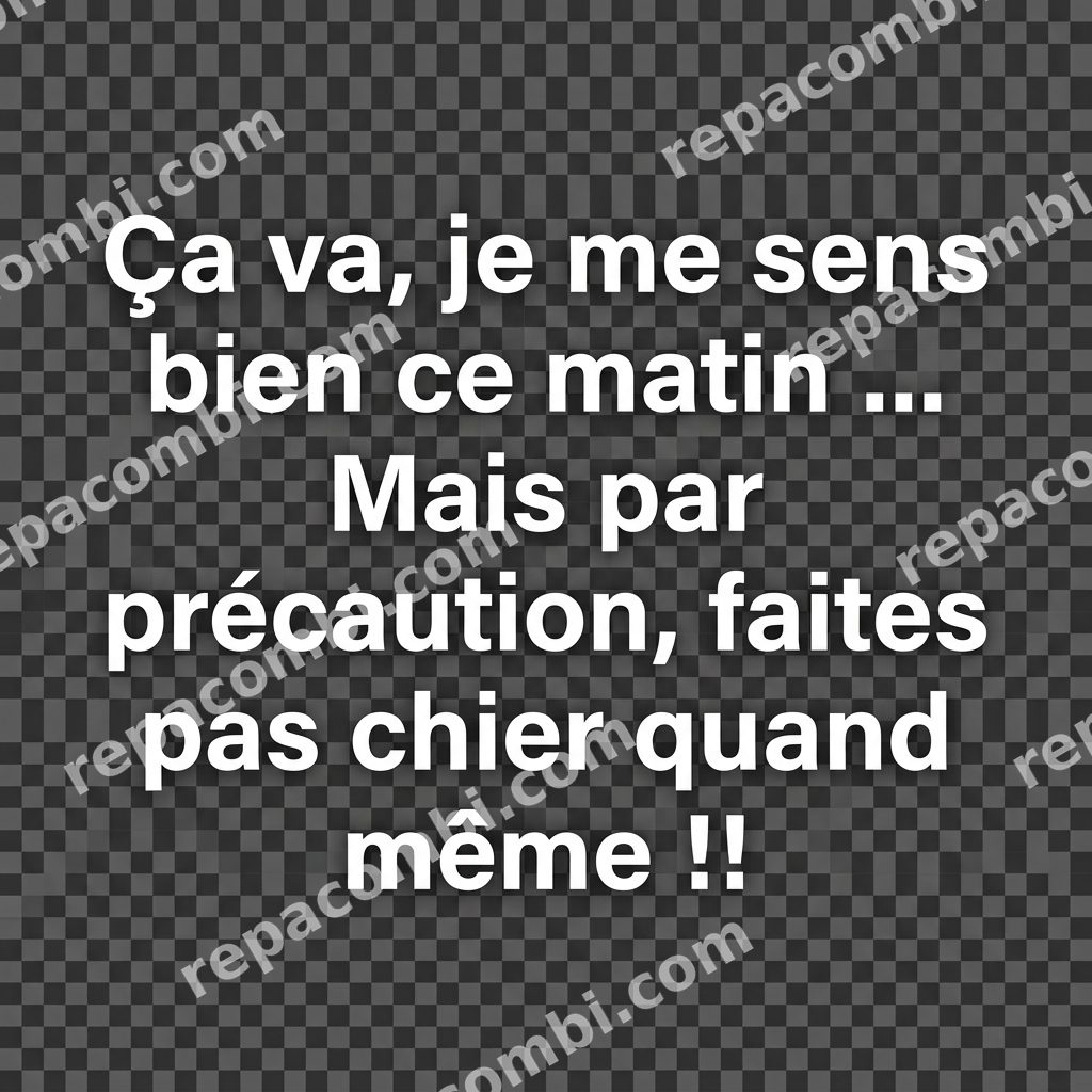 Ça Va Bien Faites Pas Chier Ça Va Bien Faites Pas Chier — ‘Ça va bien si on me fait pas chier’, ton clair